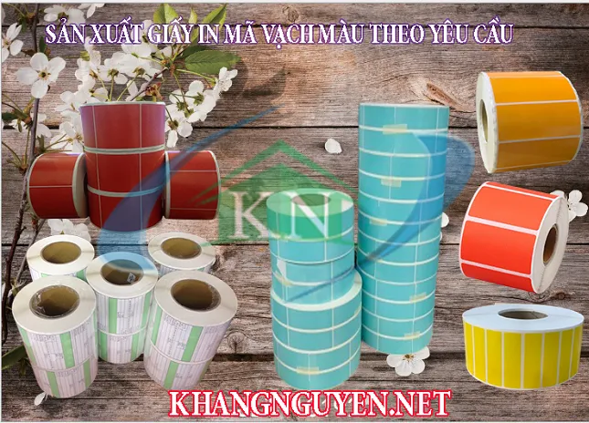 Giày sticker nhiều màu sắc